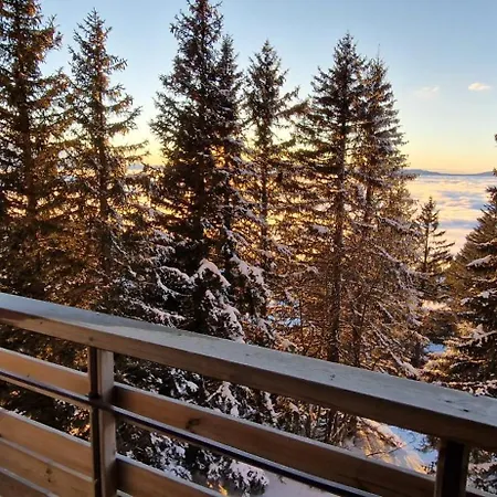 4 Personnes - Balcon - Pied Des Pistes - - Les Cytises *